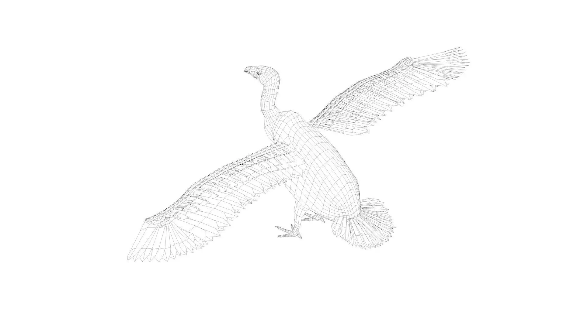 Vulture Bird rigged 3d mdoel Low-poly 3D model_7