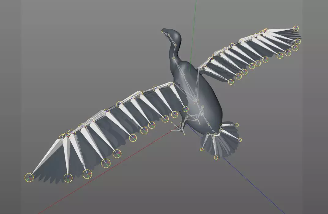 Vulture Bird rigged 3d mdoel Low-poly 3D model_8