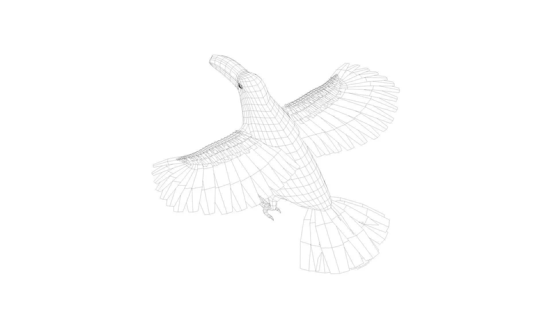 Toucan Bird rigged 3d model Low-poly 3D model_8