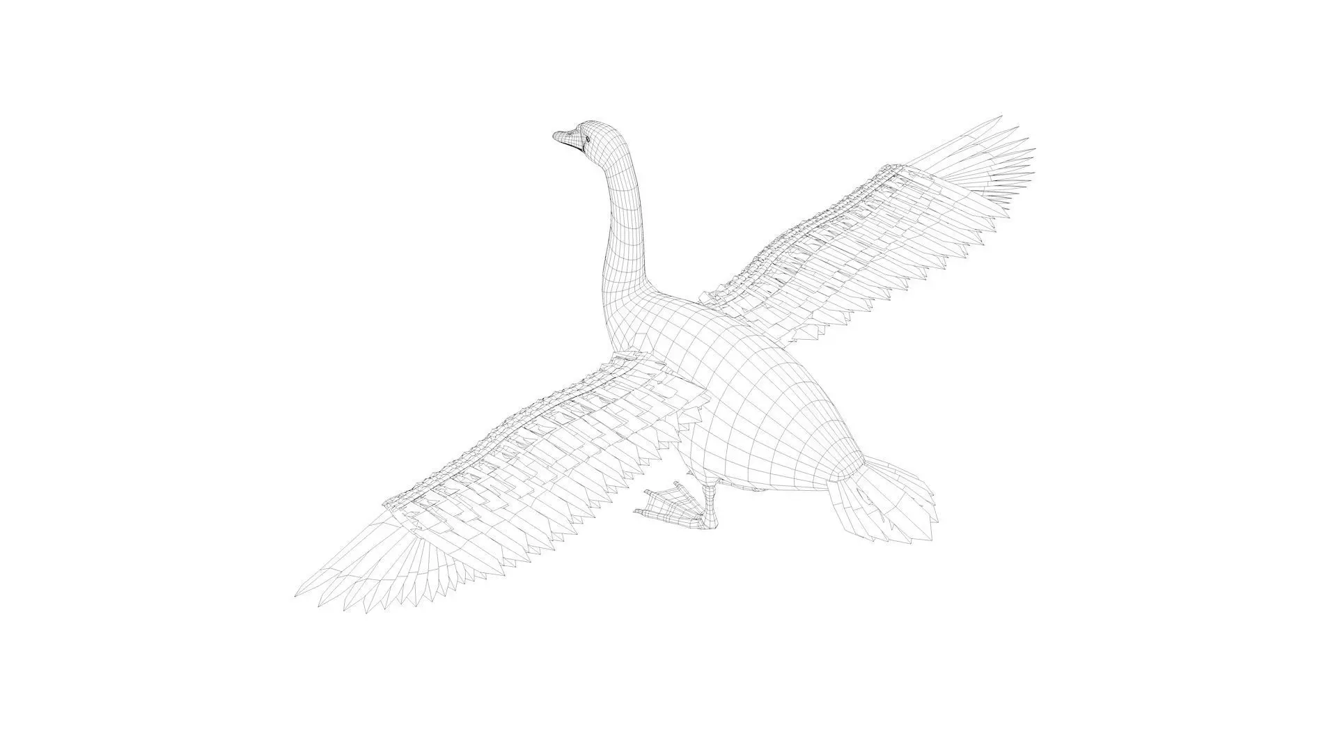 Swan bird rigged 3d model Low-poly 3D model_7