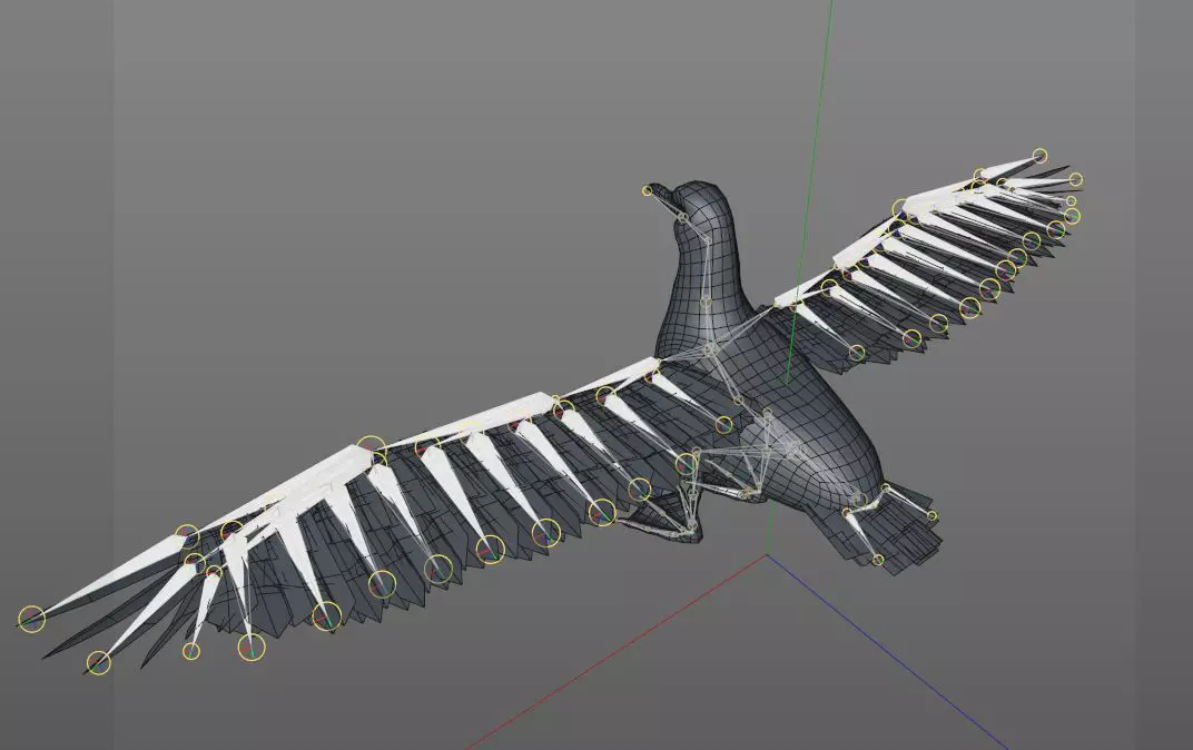 Seagull bird rigged 3d model Low-poly 3D model_7