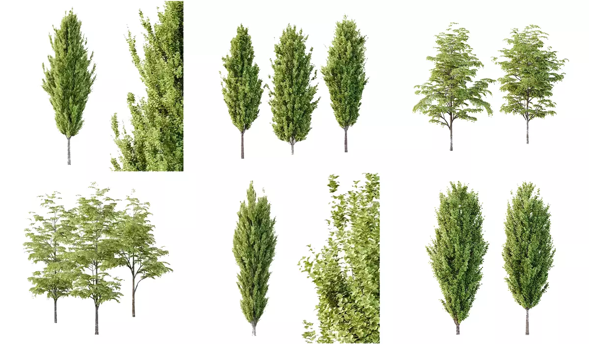 Excellent collection of Tree plants 14 Different Models 005 _0