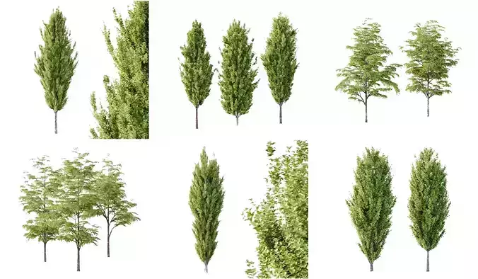Excellent collection of Tree plants 14 Different Models 005 
