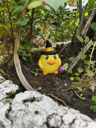 Halloween Special - Little Duck