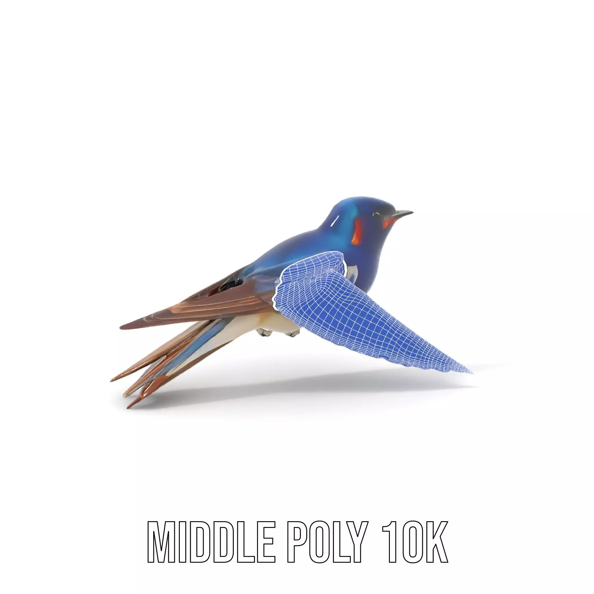 Colorful Sparrow model pack Low-poly 3D model_22