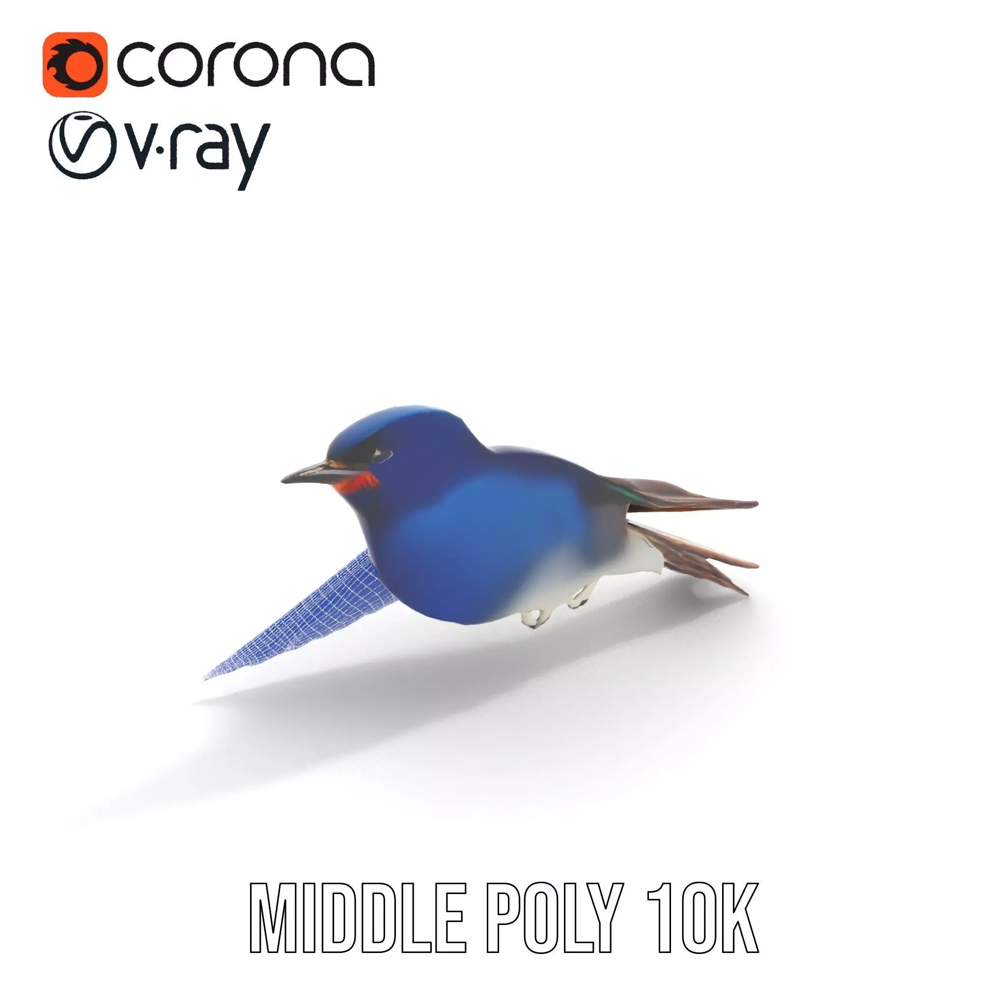 Colorful Sparrow model pack Low-poly 3D model_19