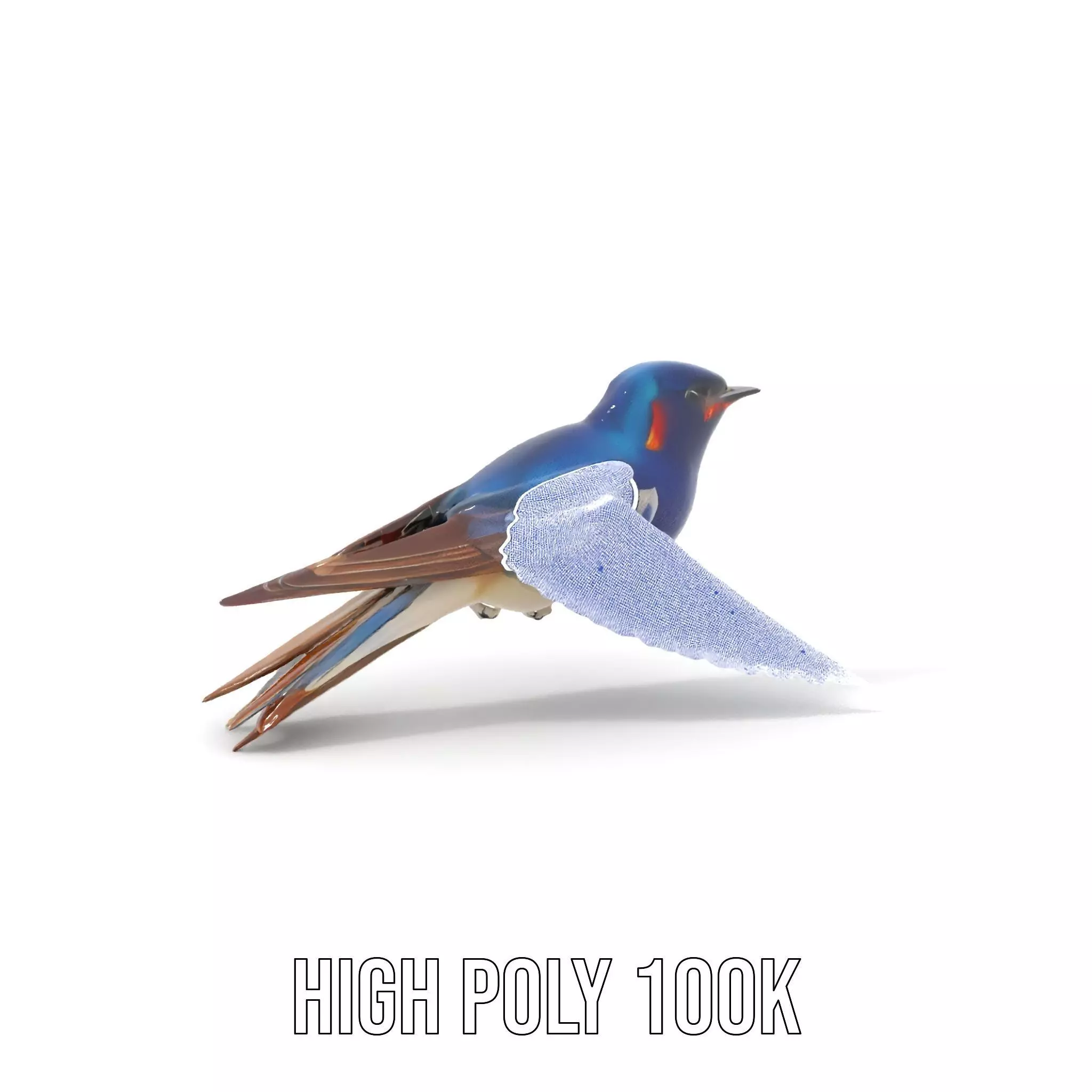 Colorful Sparrow model pack Low-poly 3D model_4