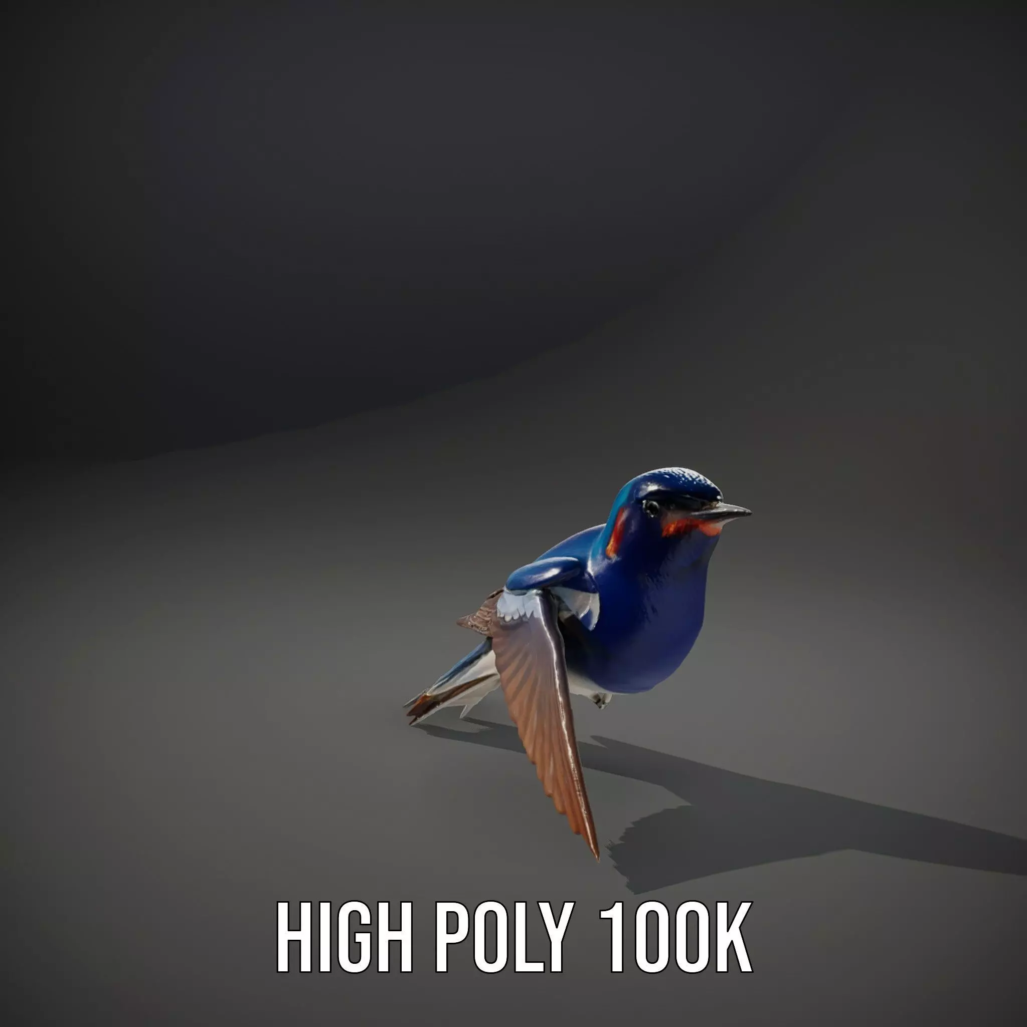 Colorful Sparrow model pack Low-poly 3D model_12
