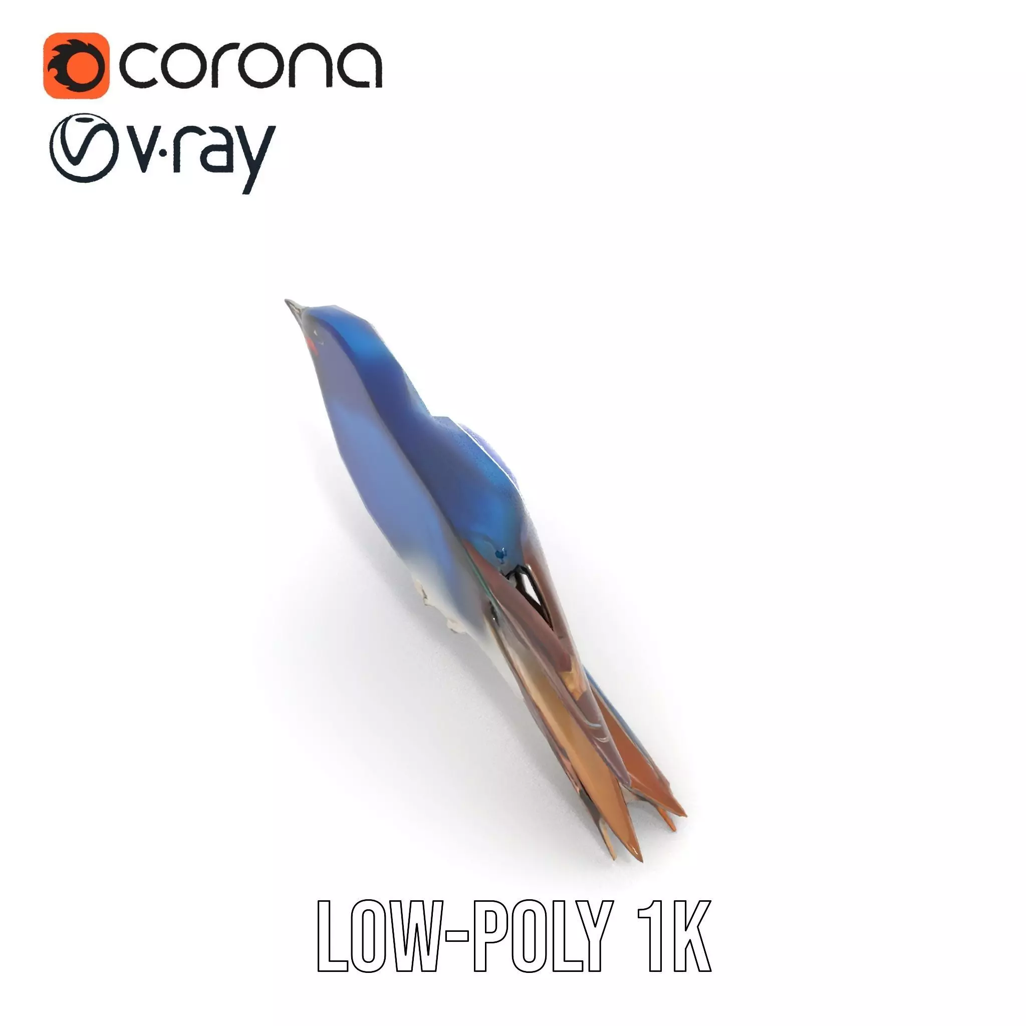 Colorful Sparrow model pack Low-poly 3D model_11