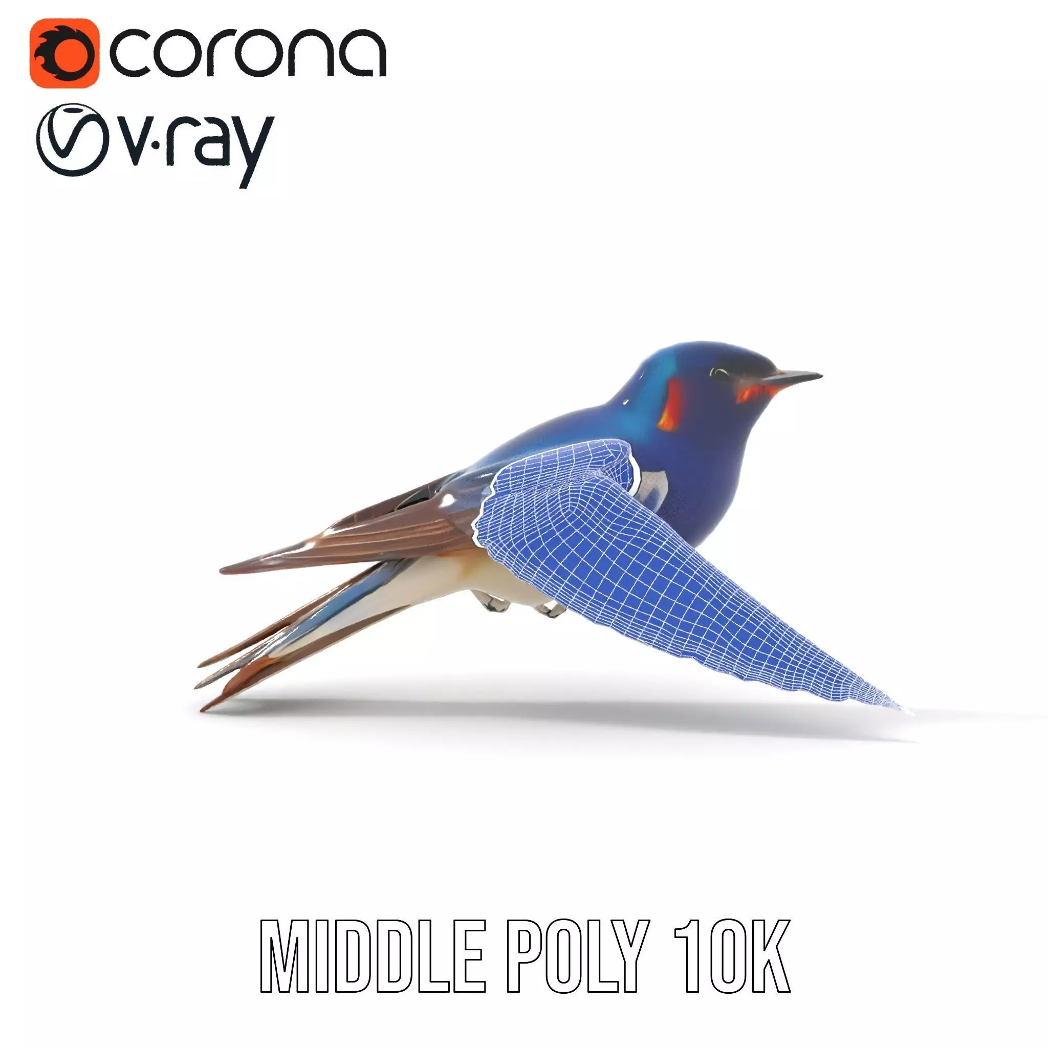 Colorful Sparrow model pack Low-poly 3D model_27