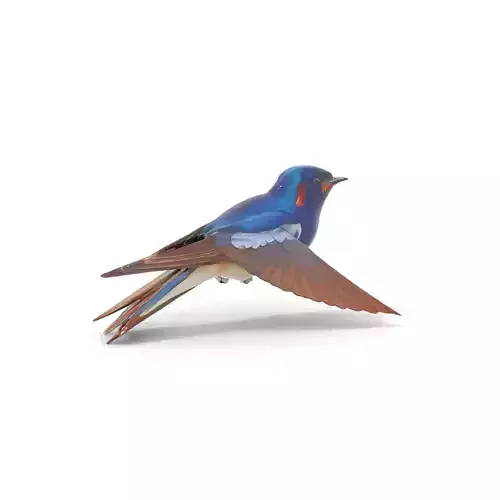 Colorful Sparrow model pack Low-poly 3D model