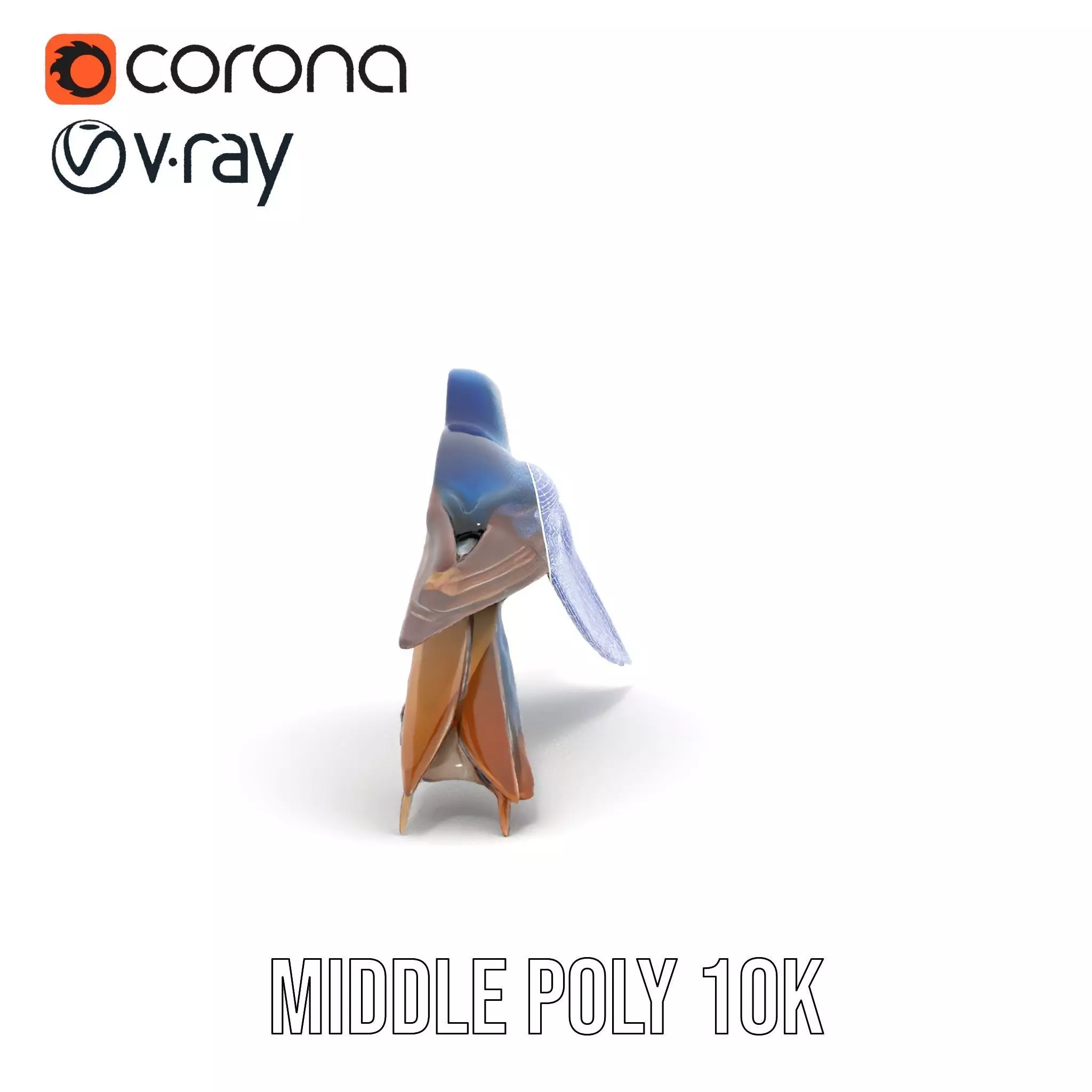 Colorful Sparrow model pack Low-poly 3D model_30