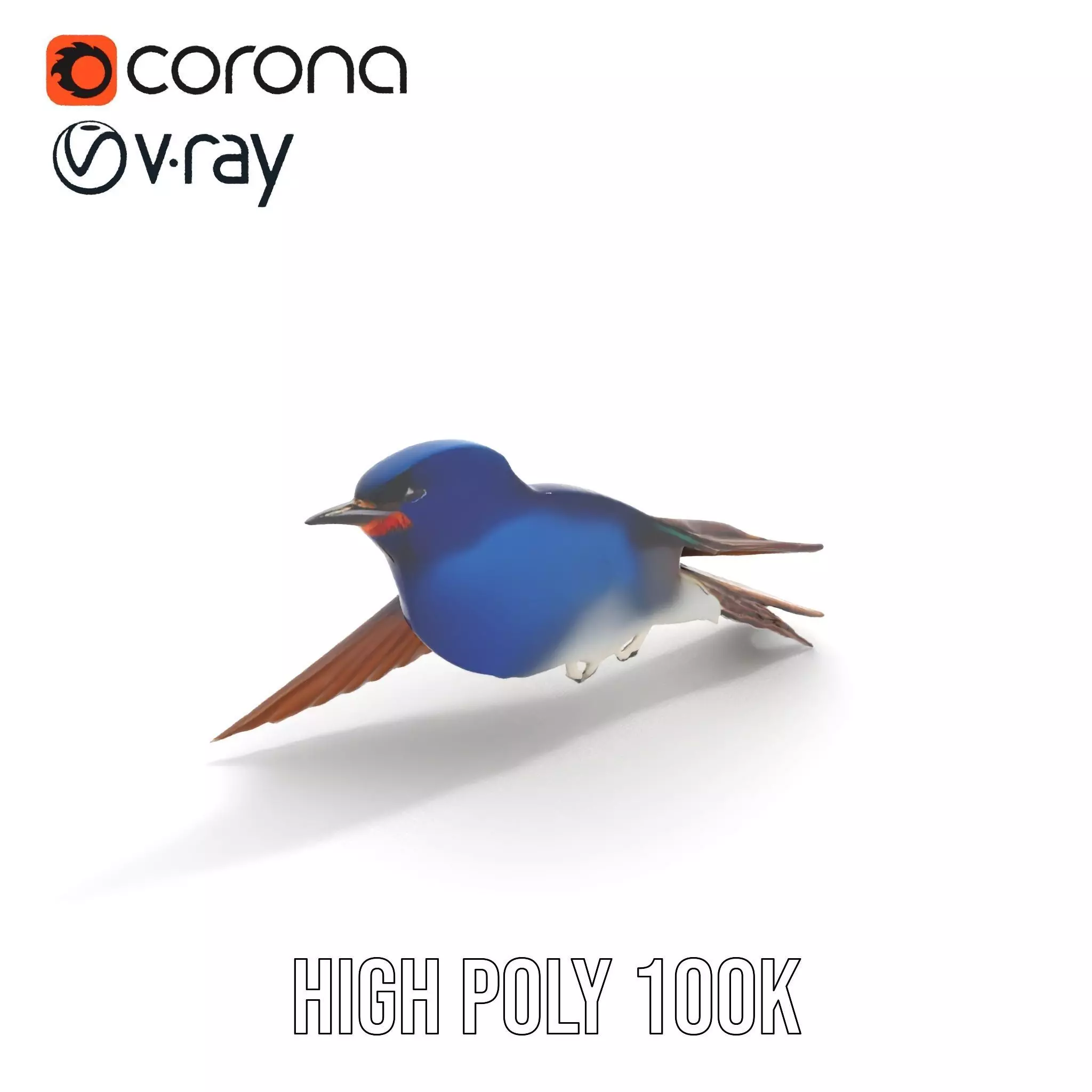 Colorful Sparrow model pack Low-poly 3D model_15