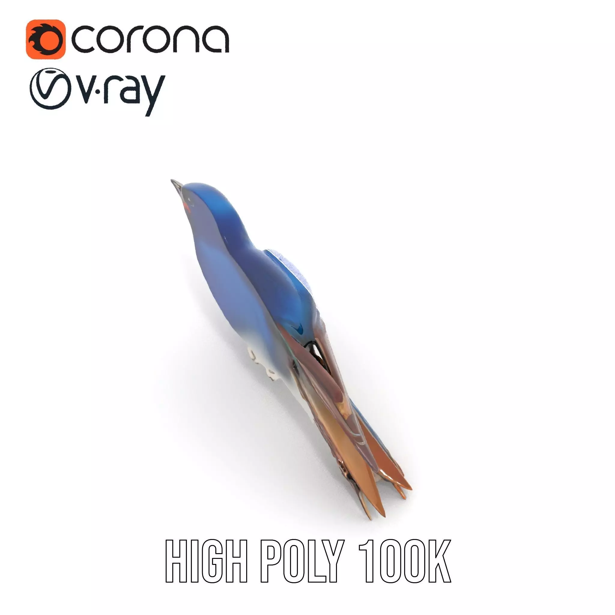 Colorful Sparrow model pack Low-poly 3D model_34