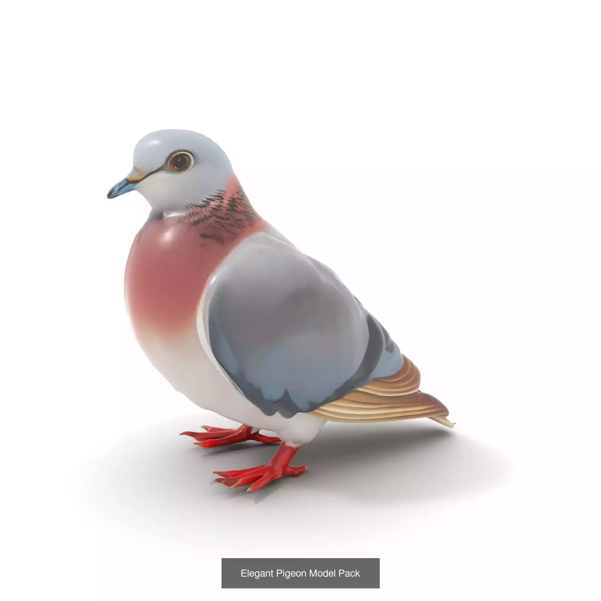 Avian Creations Pack 3D Model Collection_56