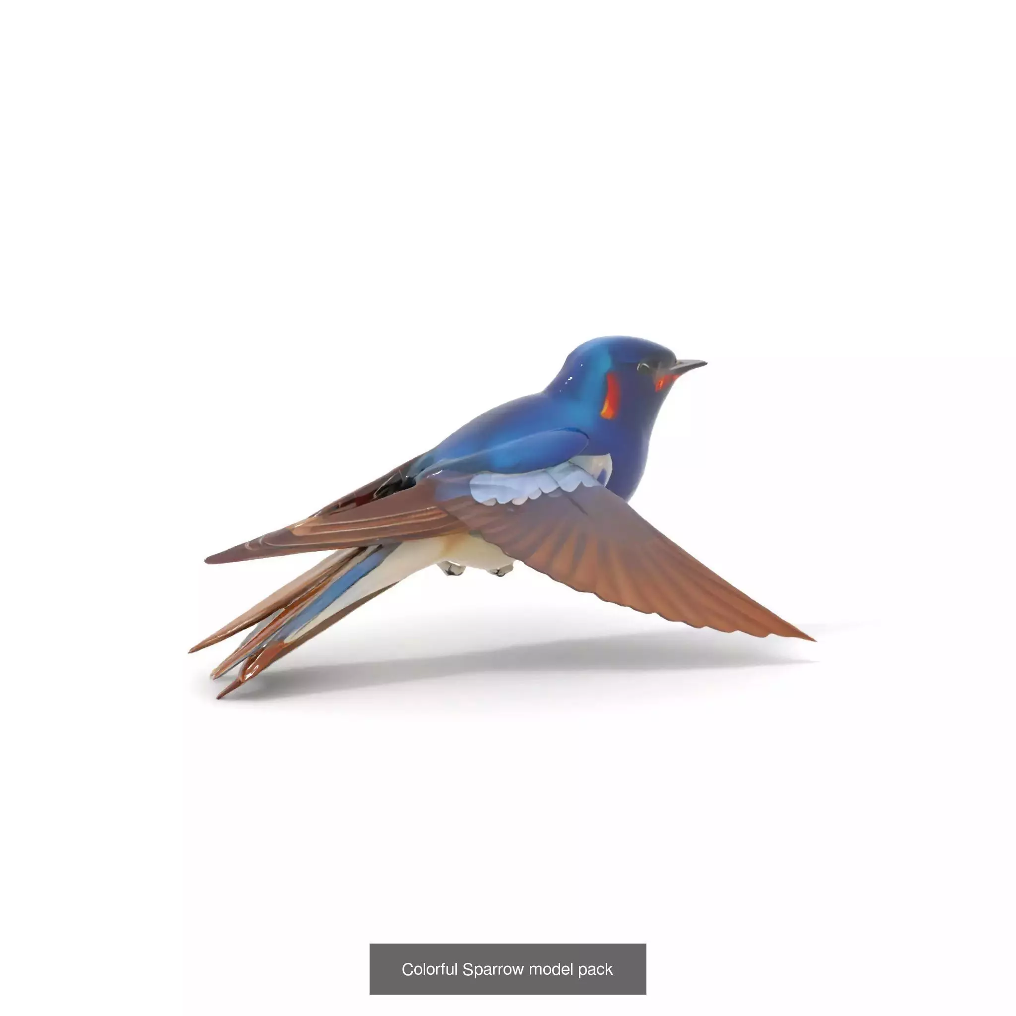 Avian Creations Pack 3D Model Collection_72