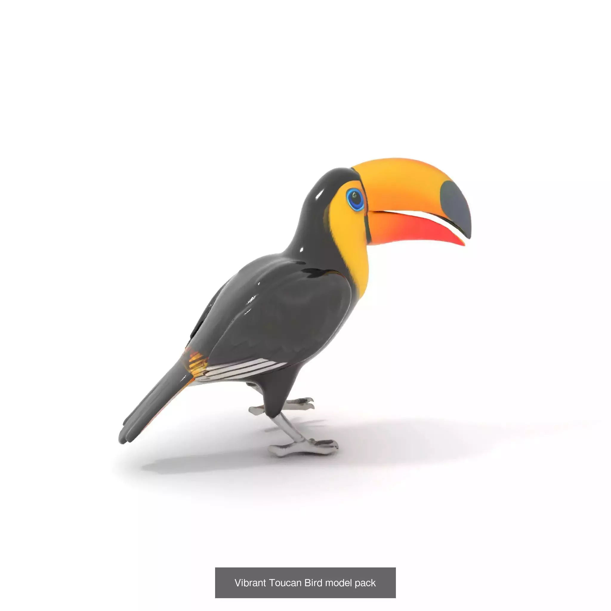 Avian Creations Pack 3D Model Collection_59