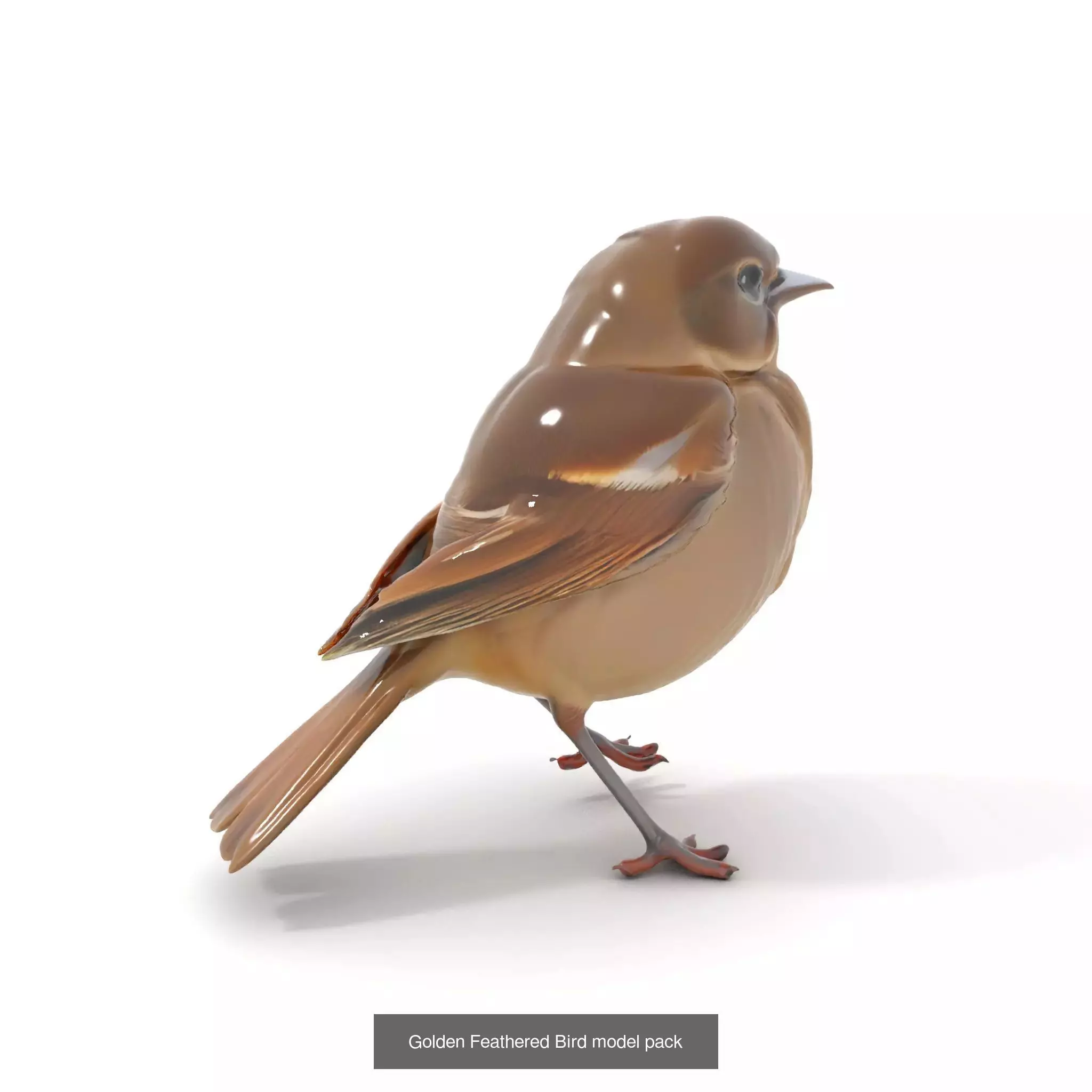 Avian Creations Pack 3D Model Collection_55