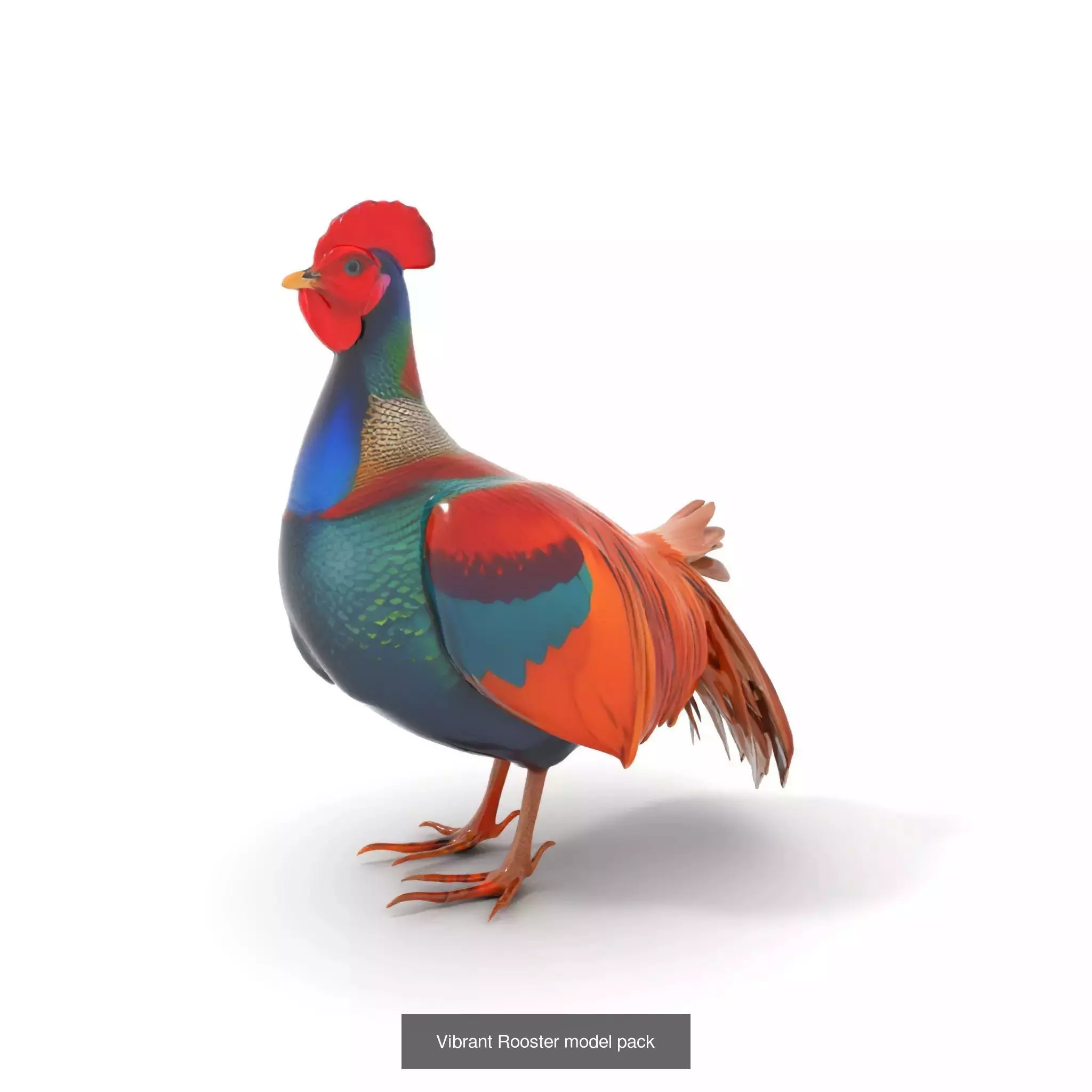 Avian Creations Pack 3D Model Collection_71