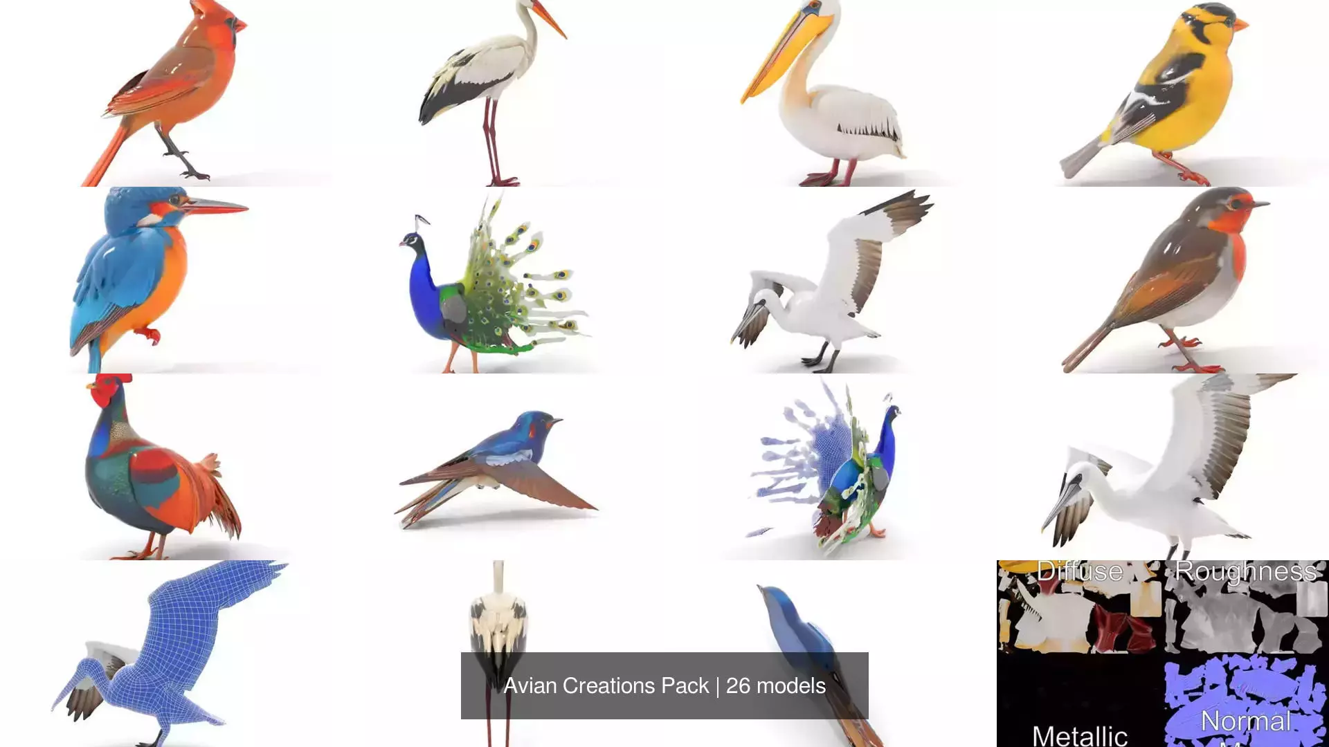 Avian Creations Pack 3D Model Collection_46