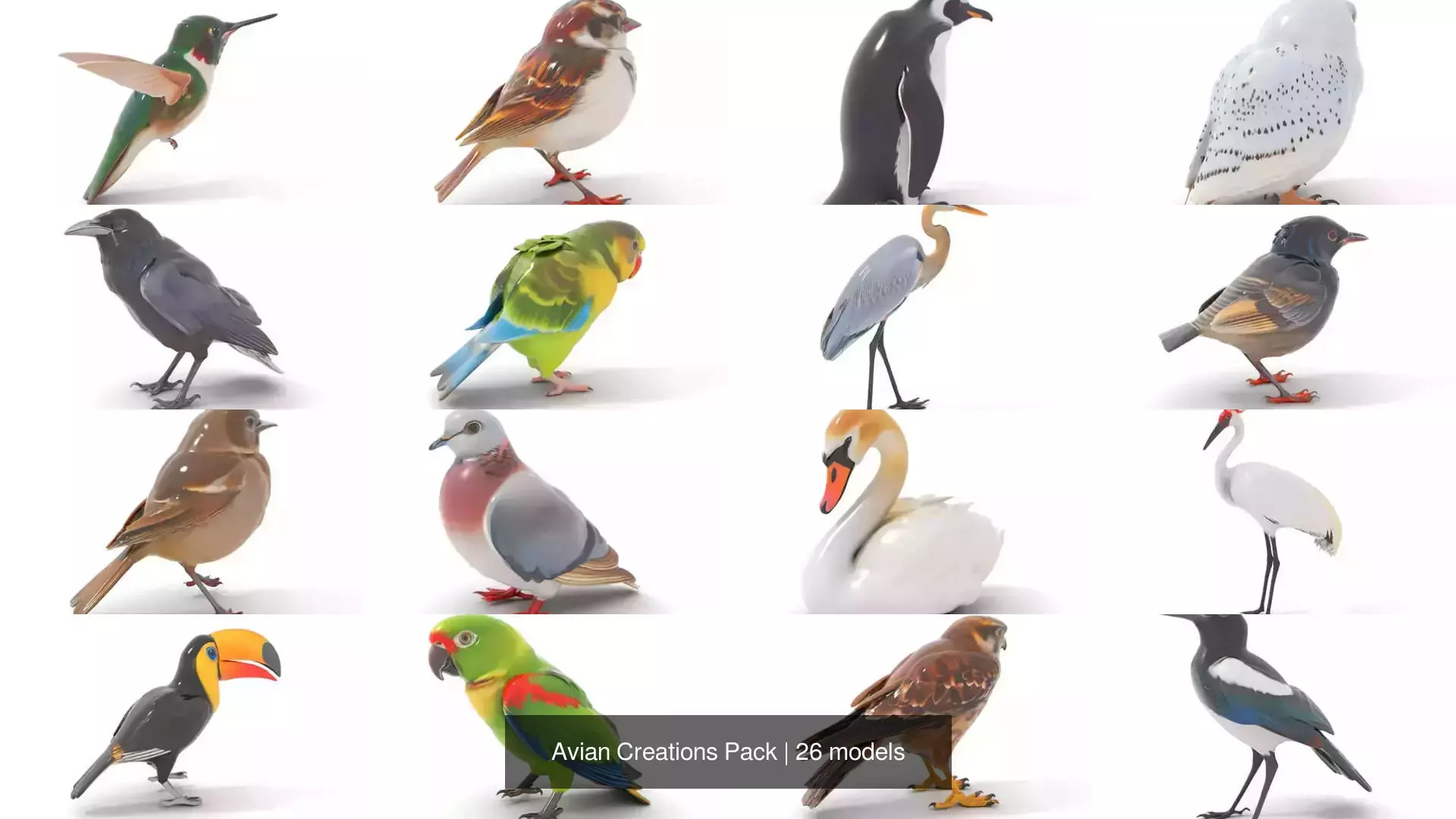 Avian Creations Pack 3D Model Collection_0