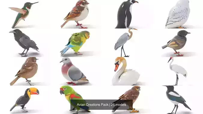 Avian Creations Pack 3D Model Collection