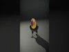 Avian Creations Pack 3D Model Collection_21