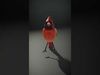 Avian Creations Pack 3D Model Collection_29