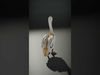 Avian Creations Pack 3D Model Collection_33
