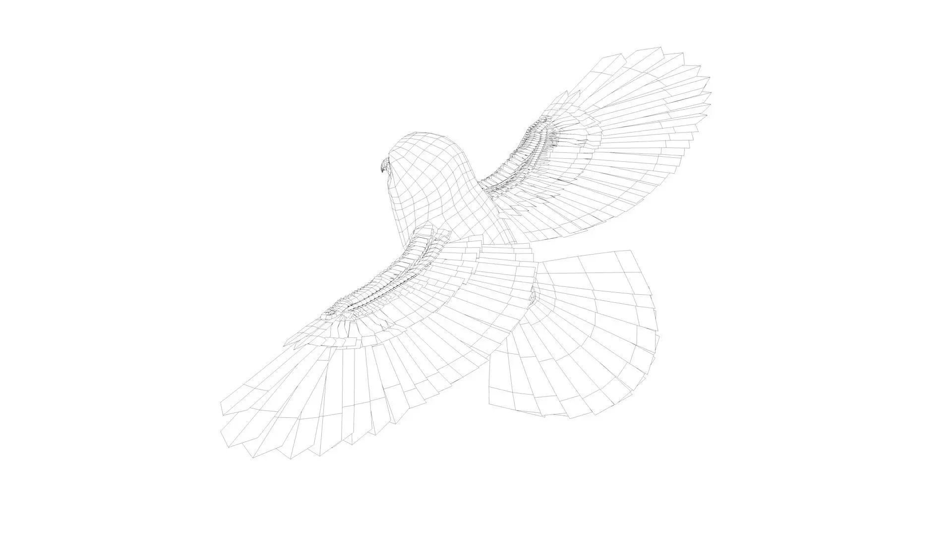 Owl bird rigged 3d model Low-poly 3D model_7