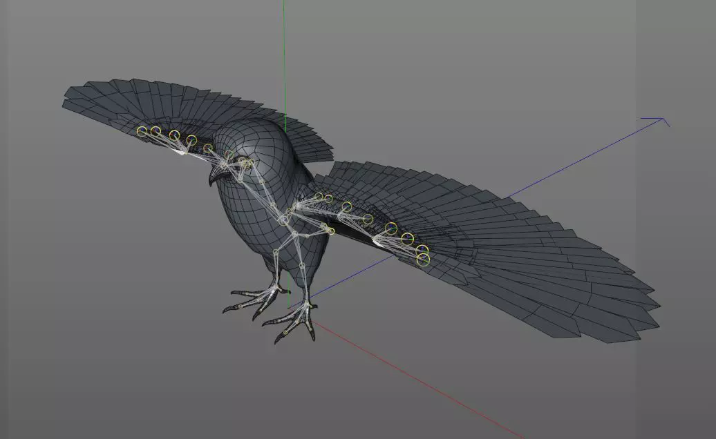 Owl bird rigged 3d model Low-poly 3D model_8