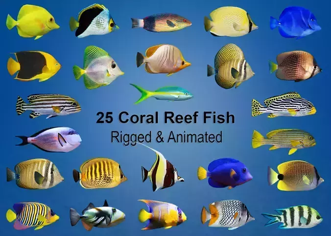 Coral Reef Fish Collection Animated - Game Ready pack 2 Low-poly 3D model