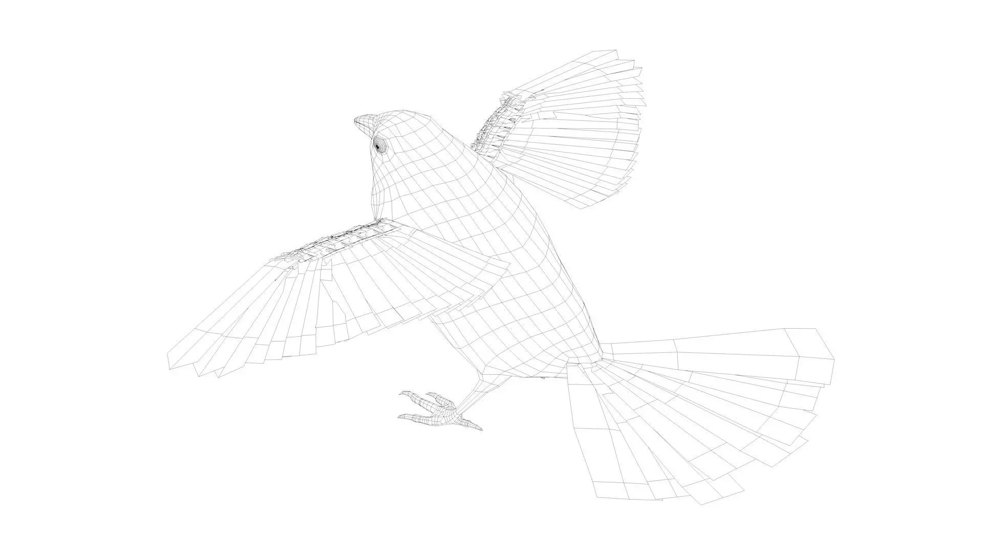 Finch bird rigged 3d model Low-poly 3D model_6