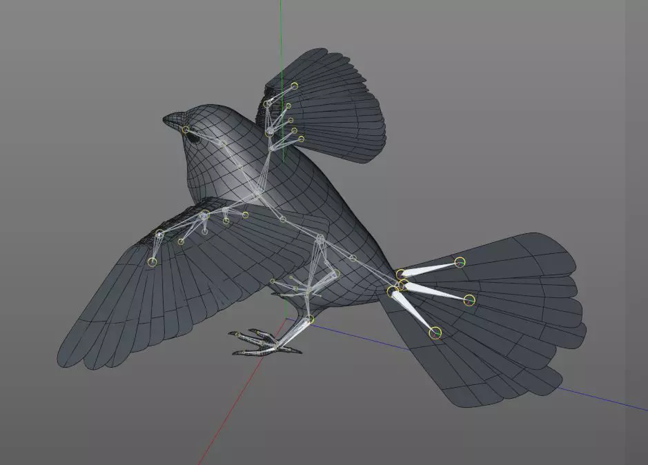 Finch bird rigged 3d model Low-poly 3D model_7