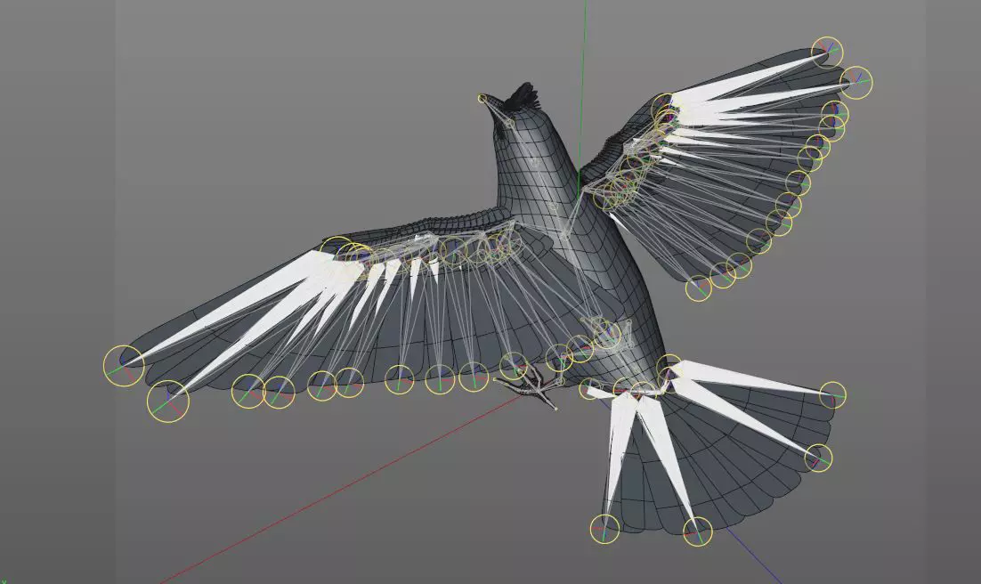 Bulbul bird rigged 3d model Low-poly 3D model_7