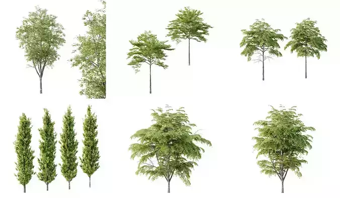 Excellent collection of Tree plants 11 Different Models 006  Excellent collection of Tree plants 11 Different Models 006