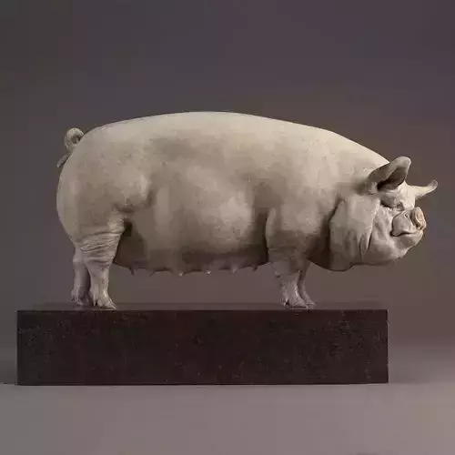 Stone Pig Sculpture with Realistic Texture and Marble Base