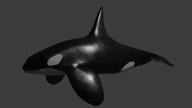 Orca wheel Rig Optimize game ready for unreal and unity