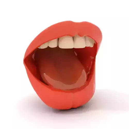 Realistic Open Mouth model pack