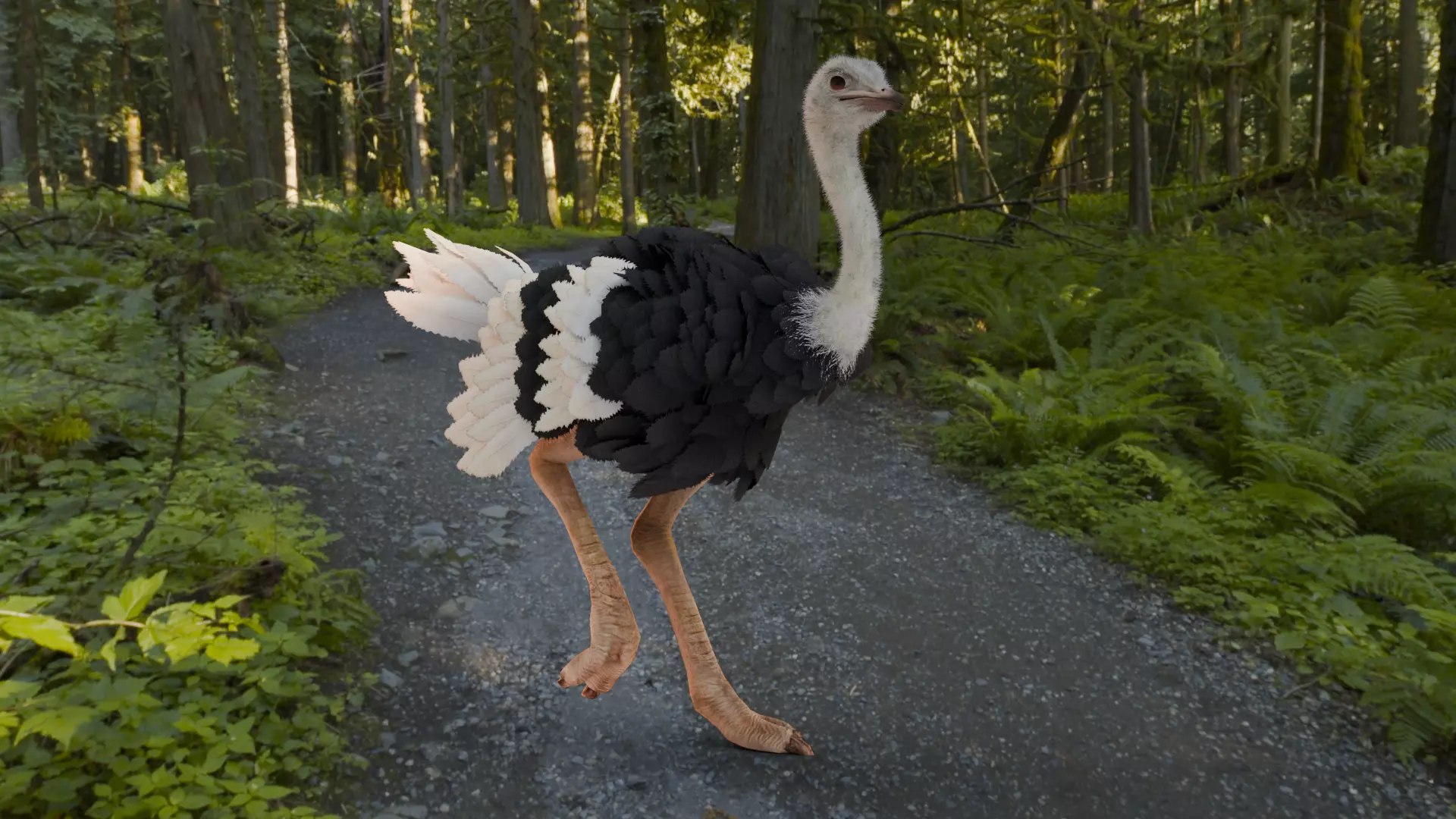 Realistic Animals Savannah - Ostrich Low-poly 3D model_7