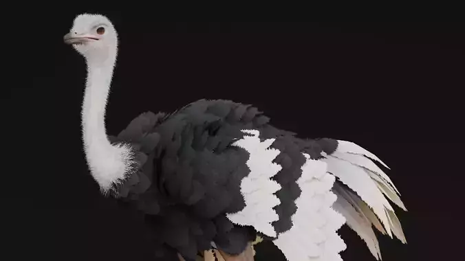 Realistic Animals Savannah - Ostrich