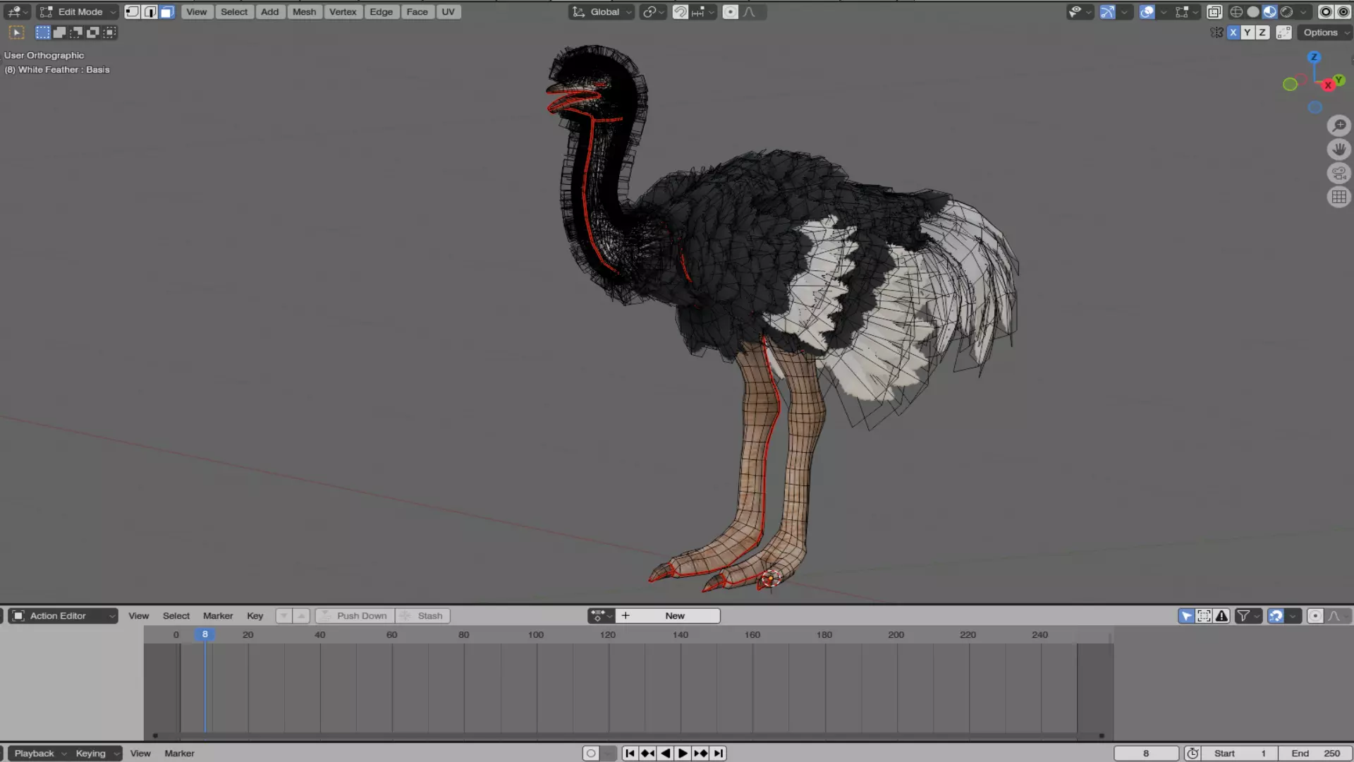 Realistic Animals Savannah - Ostrich Low-poly 3D model_9