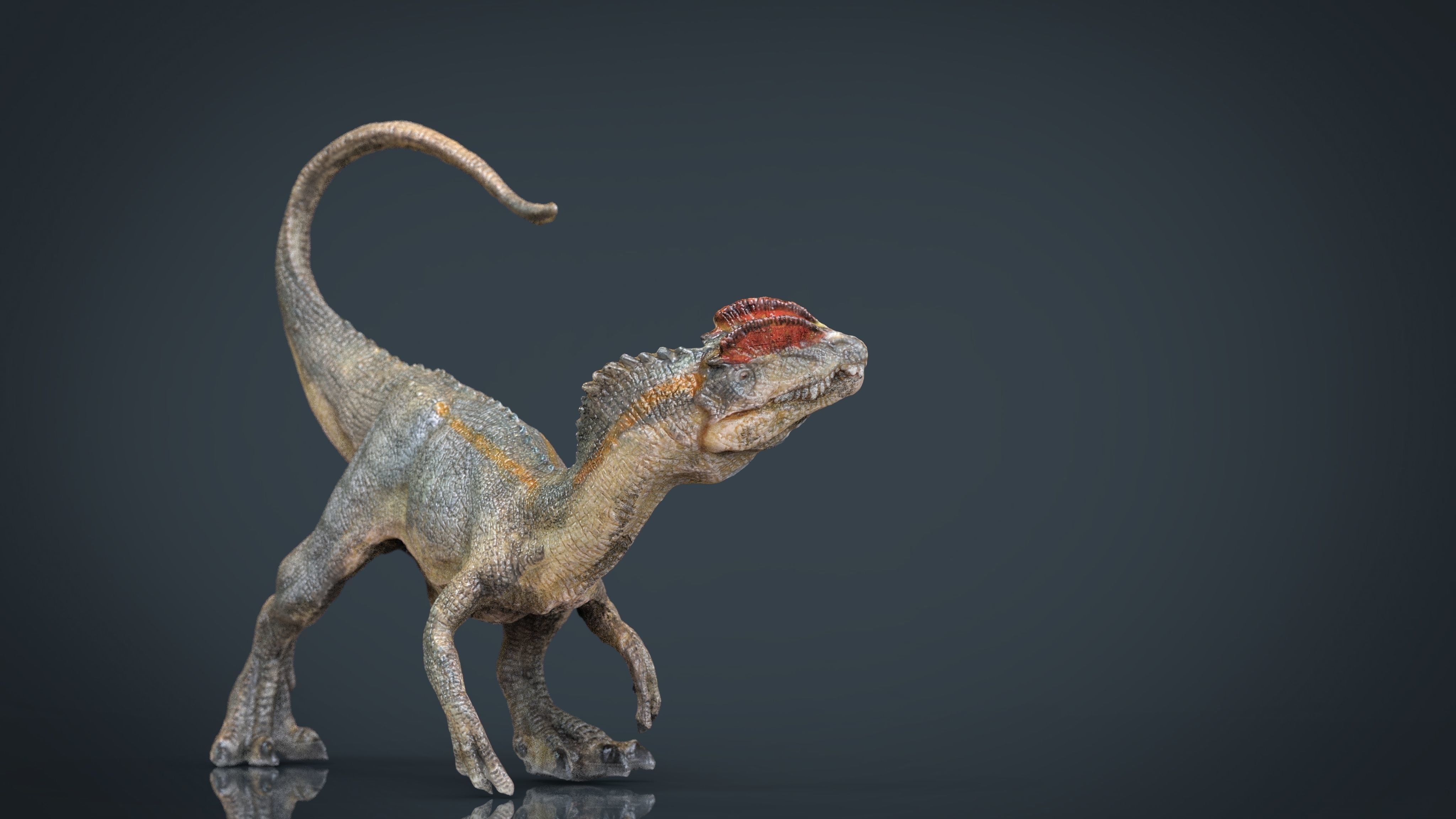 Dilophosaurus dinosaur Low-poly 3D model_13