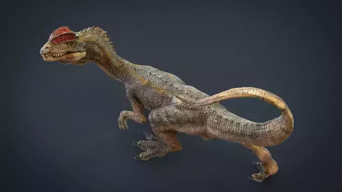 Dilophosaurus dinosaur Low-poly 3D model