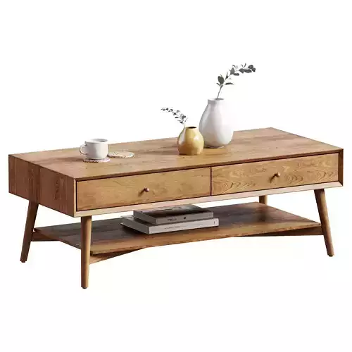 West Elm Mid-Century Storage Coffee Table