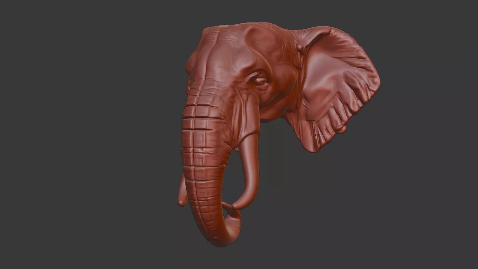 Elephant Head Bust 3D Model - STL Printable Wildlife 3D print model_7