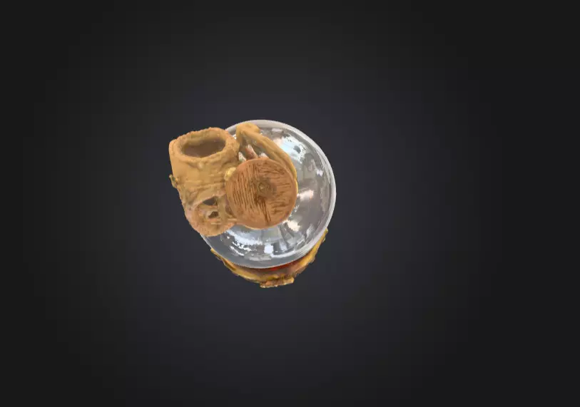 Pirate Bottle of Rum Low-poly 3D model_9