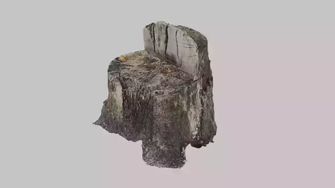 Tree stump