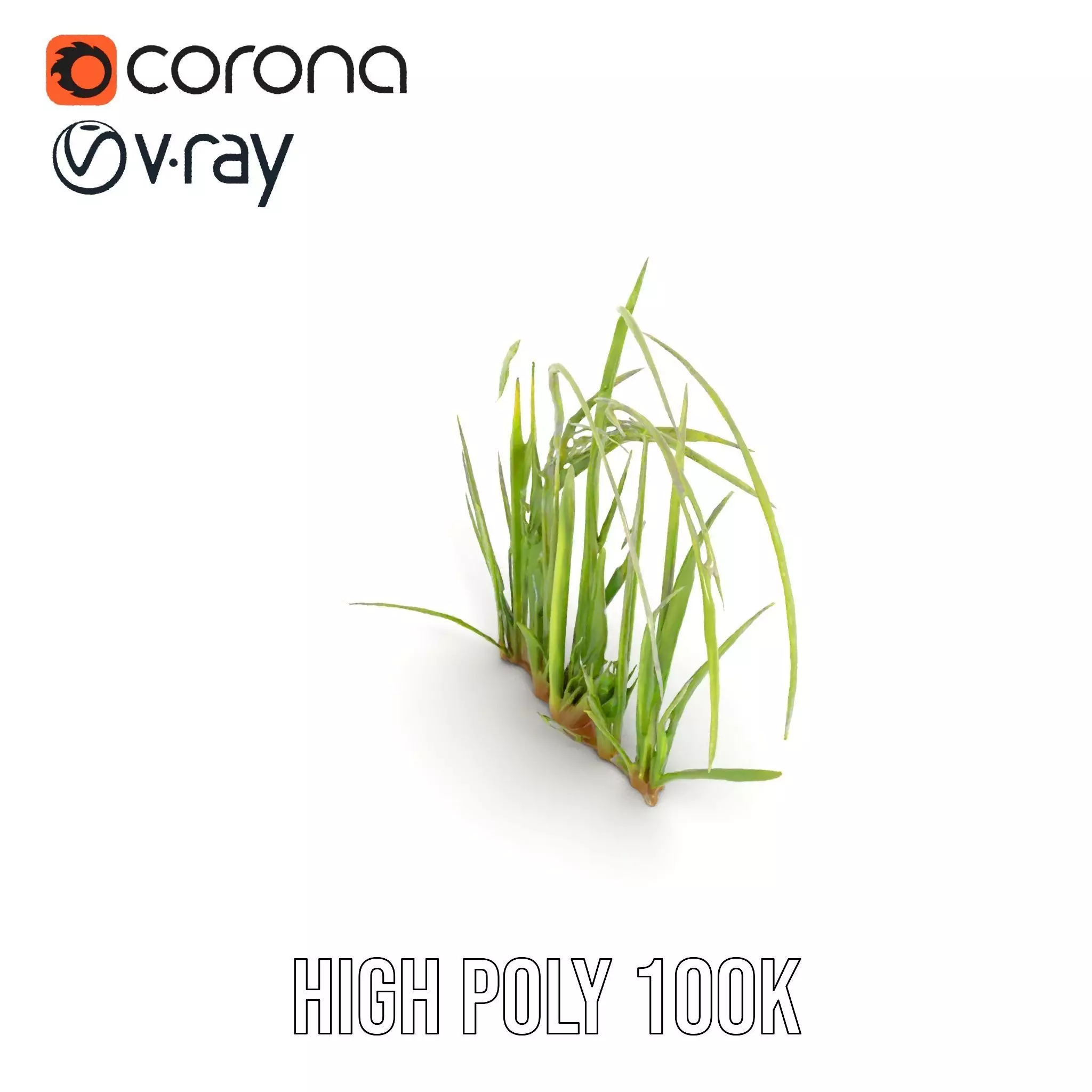 Vibrant Grass Blade model pack Low-poly 3D model_20