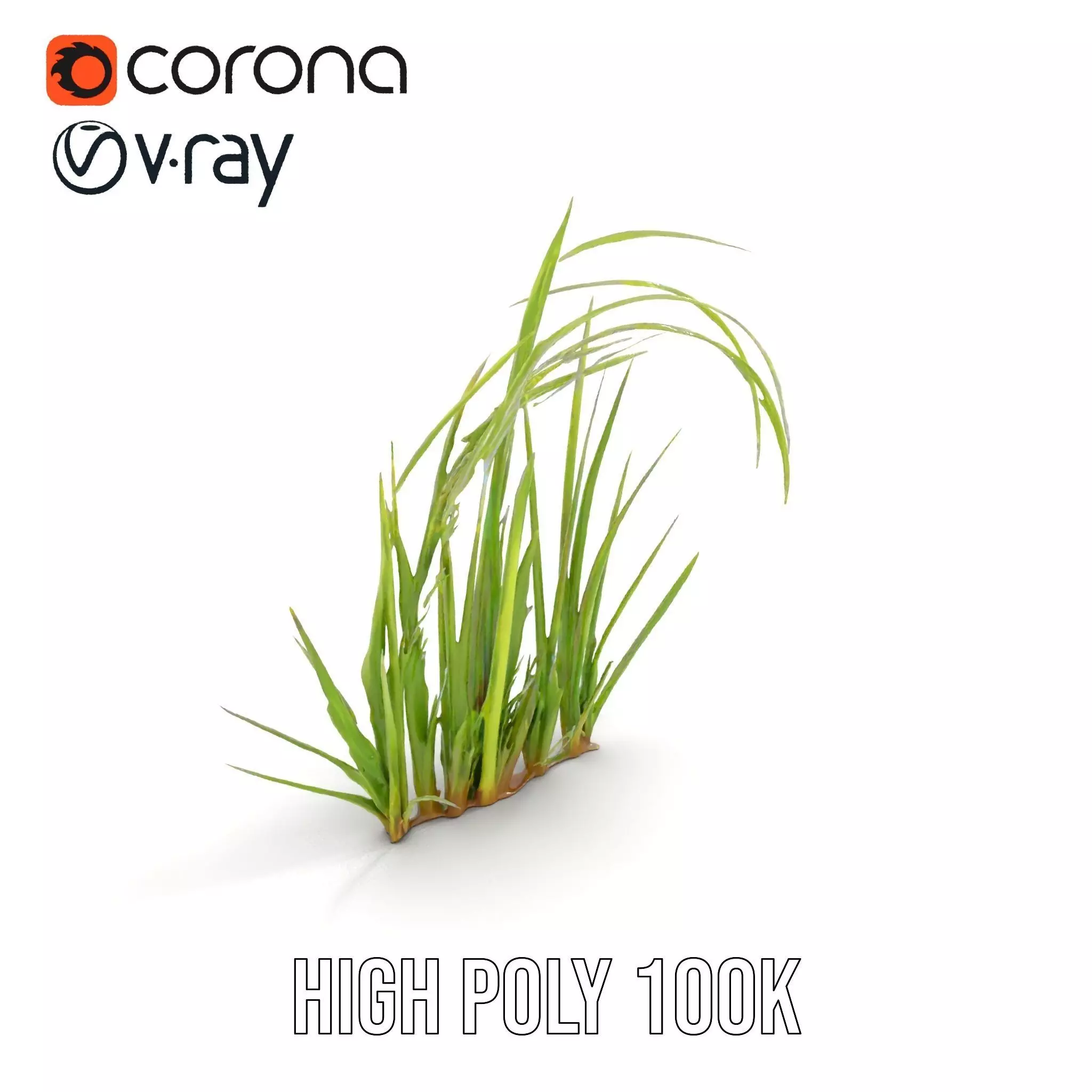 Vibrant Grass Blade model pack Low-poly 3D model_10
